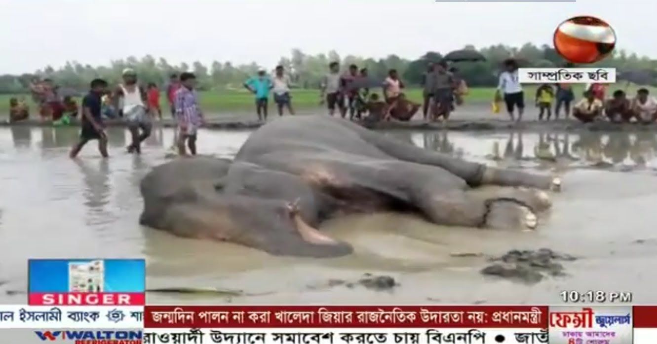 bangla news today live